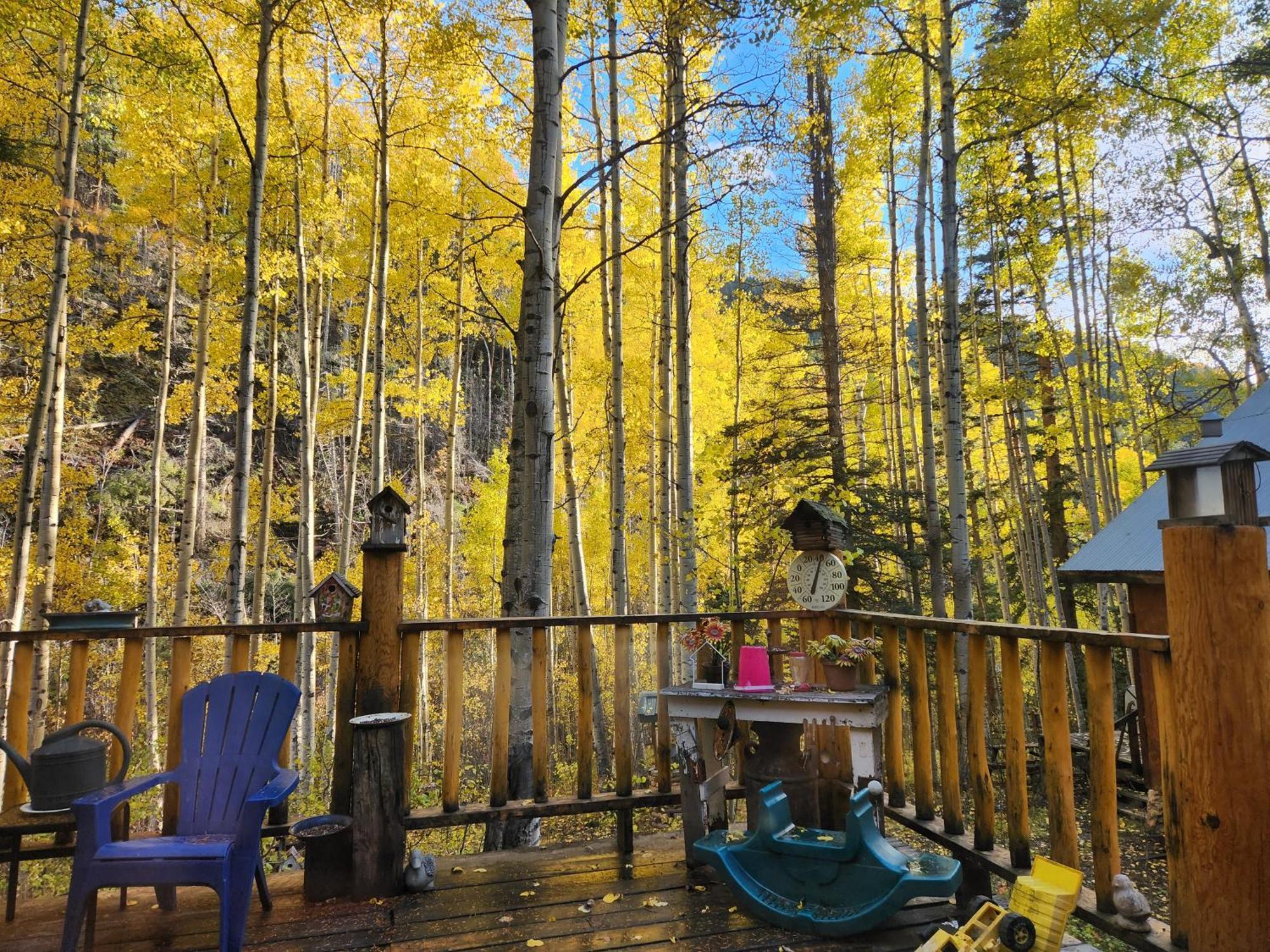 Cabin By The Creek With High Speed Wifi Ред-Ривер Экстерьер фото