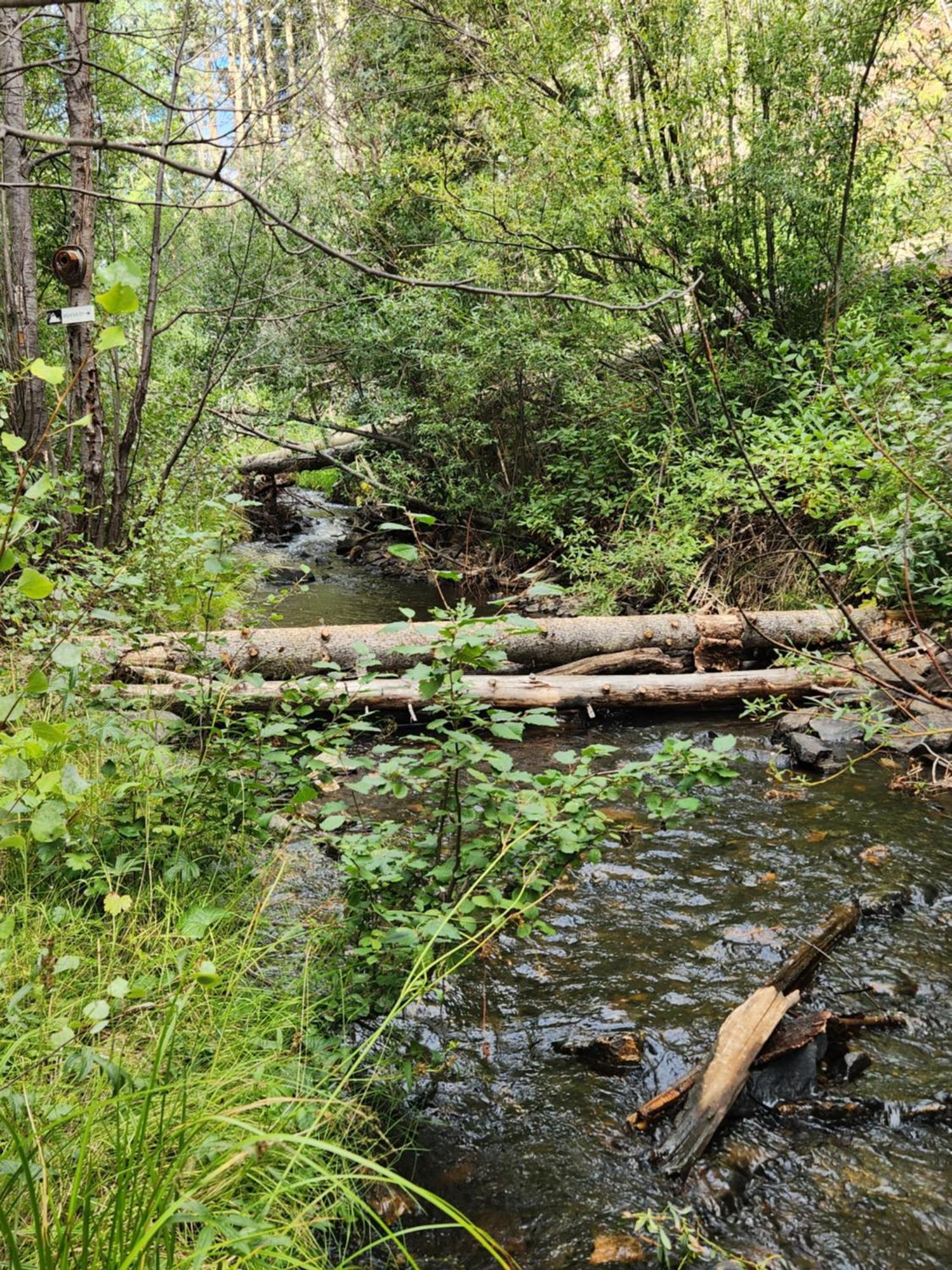Cabin By The Creek With High Speed Wifi Ред-Ривер Экстерьер фото